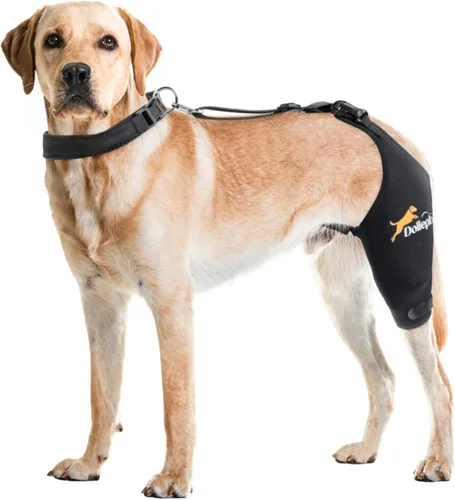 Vista 3 de Rodillera Dollephi para Perro para Pierna Trasera Desgarrada ACL, Compresa Caliente/Fría para Luxación de Rótula u Osteoartritis, Lesiones