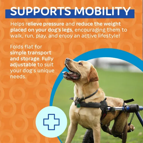 Vista 5 de Silla de ruedas de perro para perros pequeños, 26 a 69 libras, de Walkin' Wheels, 5, Azul