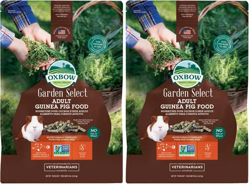 Vista 11 de Oxbow Garden Select - Alimento para conejillo de indias adulto, Heno Timothy, pellets de conejillo de indias, alta fibra para la salud digestiva