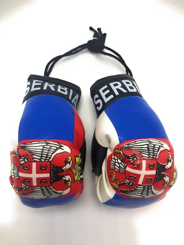 Vista 24 de Mini guantes de boxeo para colgar en el espejo del coche (Camerún)