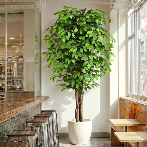 Vista 10 de Árboles artificiales de ficus de 3 pies con troncos naturales curvados, árbol exuberante de 36" de altura, árbol falso de ficus realista en verde