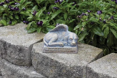 Vista 2 de Roman Jardín - Estatua de jardín de perro con alas, 6H, colección de jardín, resina y piedra, decorativo, regalo conmemorativo, regalo de jardín