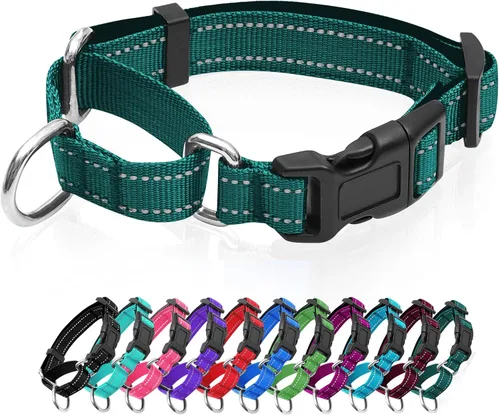 Vista 19 de Collares de perro Martingale reflectantes. Collar de perro con hebilla de liberación rápida. Collar de mascota de nylon ajustable, suave, acolchado
