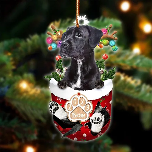 Vista 30 de NAZENTI Adorno Navideño de Bolsillo Personalizado de Affenpinscher en la Nieve, Adorno de Forma Acrílica de Perro, Adorno de Navidad 2023, Adorno