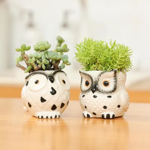 Vista 2 de Macetas de cerámica de búho, mini macetas de 3 pulgadas con soporte para lápiz de drenaje, bonita decoración, maceteros de flores, embalaje