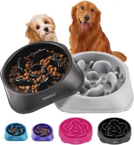 Vista 24 de YINEYA 2 cuencos de alimentación lenta antiasfixia para perros de tamaño pequeño, cuenco de alimentación lenta para gatos, suministros
