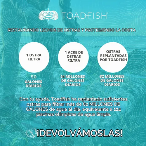 Vista 9 de Juego de herramientas para mariscos Toadfish Cangrejo y Langosta - 2 cascadores de concha con cortadores y 4 tenedores de uso múltiple - Agarres
