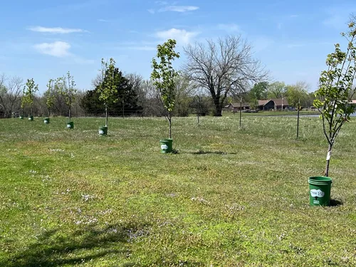 Vista 4 de Regador de raíces sistema de riego STD 6 unidades 5 galones Depósito duradero de 5 galones, relleno sin manos, riega 6 árboles en 6 minutos
