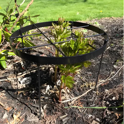 Vista 12 de Soportes de peonía para plantas de exterior, estacas de dalia de 18.5 x 22.9 pulgadas Negro