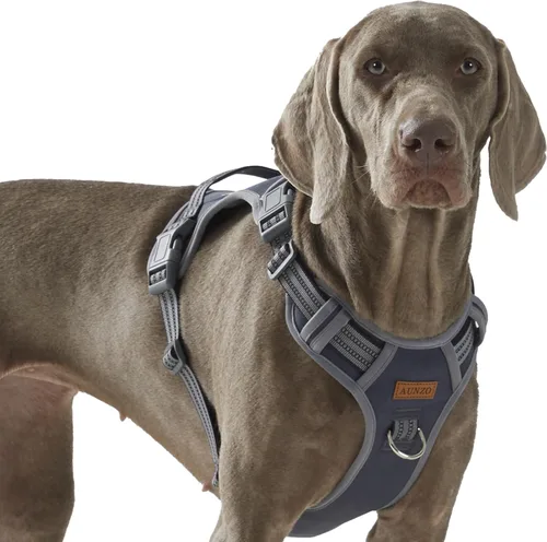 Vista 28 de Arnés para perro sin tirones, chaleco ajustable para perro para caminar fácilmente, material Oxford transpirable, arnés reflectante para mascotas