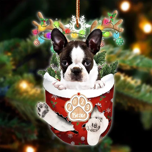 Vista 109 de NAZENTI Adorno Navideño de Bolsillo Personalizado de Affenpinscher en la Nieve, Adorno de Forma Acrílica de Perro, Adorno de Navidad 2023, Adorno