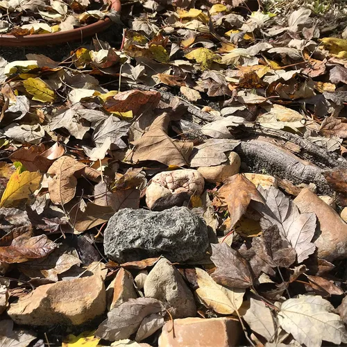 Vista 3 de (Tipo-A (Negro), 1 Paquete) Roca Falsa - Parece Piedra - Segura para Exteriores - Caja Fuerte Secreta para Exteriores para Llaves, Roca de Piedra