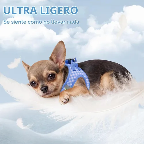Vista 3 de AIITLE Step in - Juego de arnés y correa para perro pequeño, chaleco para Azul
