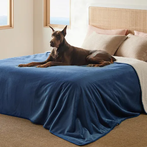Vista 34 de Bedsure - Mantas impermeables para perros pequeños - Manta de felpa de sherpa con impresión suave lavable para perros y gatos, protector de muebles
