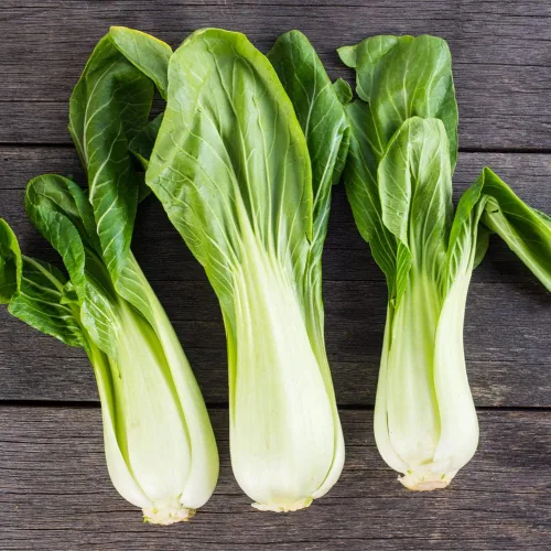 Vista 2 de Pak Choi (Bak Choi) (100 semillas)