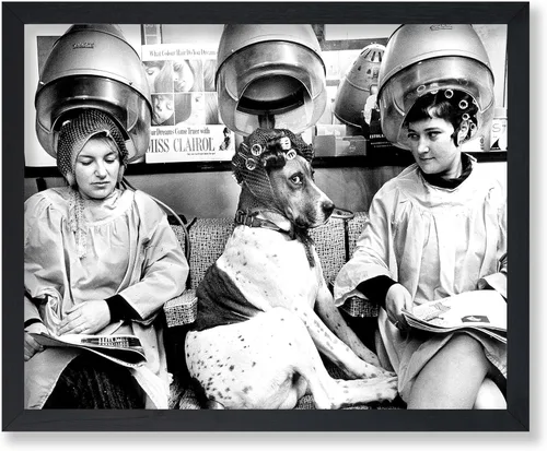 Vista 26 de Monem Art - Póster de perro en el spa, impresión de perros y mujeres, arte de fotografía, arte de moda, arte en blanco y negro, arte humorístico