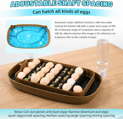 Vista 4 de Ploomi Incubadora de 24 huevos con recarga automática de agua y control de humedad, girador automático de huevos, vela LED integrada, preprogramas