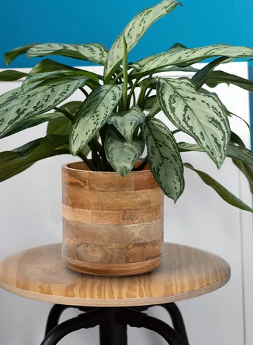 Vista 4 de Serene Spaces Living Macetero grande de madera de mango marrón, maceta de madera natural para flores y plantas sintéticas, plantas