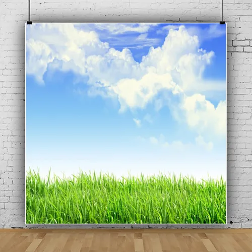 Vista 2 de Leyiyi Fondo de fotografía de pastizales de primavera de 4 x 4 pies, planta de jardinería, prado, cielo, nube, punto de luz, pradera del norte
