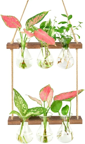 Vista 10 de XXXFLOWER Wall Hanging Propagation Station 5 Bulb Vase 3 Tiers Brown Transparente