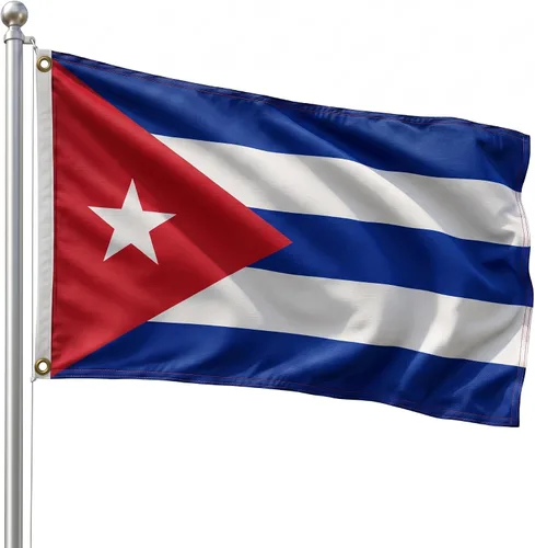 Vista 89 de DMSE - Bandera nacional beninesa beninesa de la República de África Occidental, 2 x 3 pies, 100 % poliéster, 100 % poliéster, resistente a los rayos