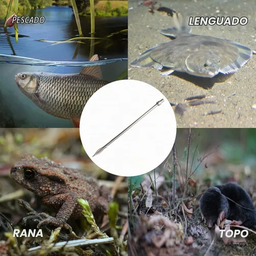 Vista 7 de Brazo de pesca telescópico de 6.2 pies con 3 dientes, gancho de pesca telescópico de acero inoxidable con tornillo de 8 mm, arpones barbados