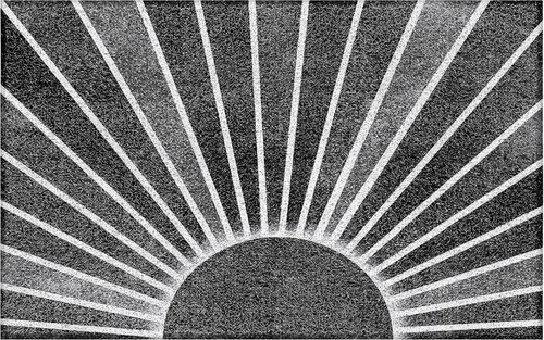 Vista 15 de Tapete de puerta blanco y negro, tapete de puerta de exterior en blanco y negro, tapete de bienvenida negro, felpudo negro para puerta de entrada