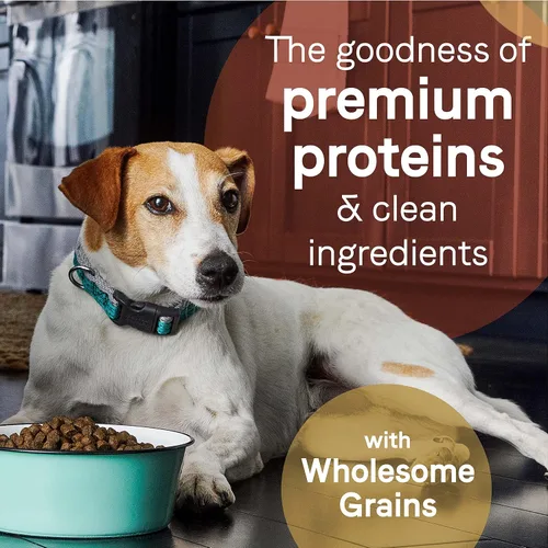Vista 5 de CANIDAE Pure Puppy - Comida seca para perros, receta de salmón y avena, con galletas de salmón y batata