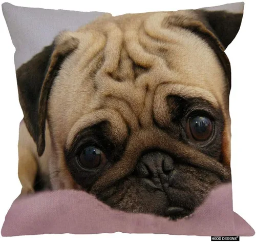 Vista 10 de HGOD DESIGNS Funda de almohada de perro Pug de 18 x 18 pulgadas con cremallera de dos lados