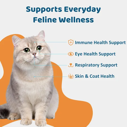 Vista 2 de L-Lisina para Gatos Pasta Oral – Apoyo Inmune y Respiratorio para Felinos – con Colágeno, Zinc, Multivitaminas y Probióticos – Sabor Natural