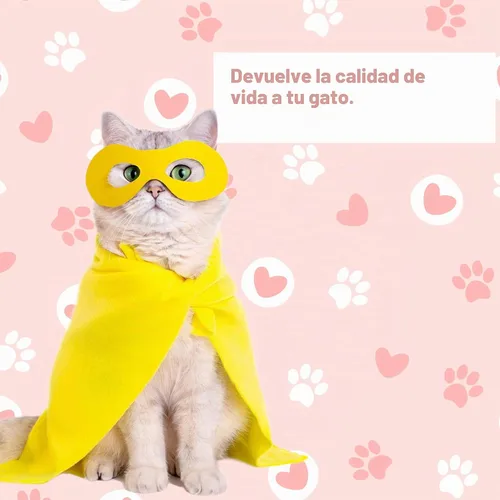 Vista 6 de LifeLink 's Zobaline para gatos 3 mg x 60 tabletas