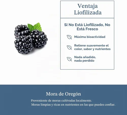 Vista 5 de Eclectic Institute Fruta de mora cruda fresca liofilizada sin OMG 90 CT (480 mg)