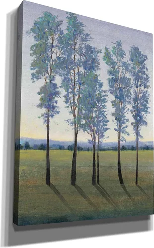 Vista 2 de Epic Graffiti 'Acreage II' by Tim O'Toole, Canvas Wall Art, 12"x16