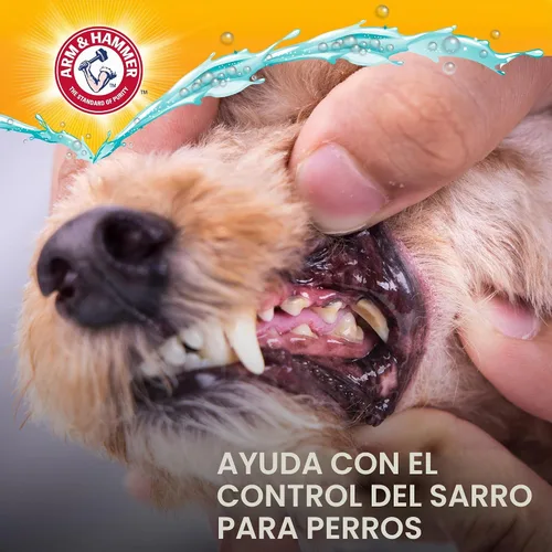 Vista 8 de Arm & Hammer Complete Care - Aerosol dental para perros, sabor a menta, refrescante de aliento para perros fácil sin cepillado, fórmula mejorada
