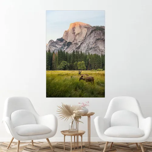 Vista 38 de SIGNFORD Mural de pared personalizado con tus fotos, papel tapiz extraíble, decoración de pared personalizada para dormitorio, sala de estar, 8 x 10