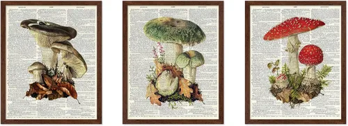 Vista 10 de Poster Master Póster botánico vintage de 3 piezas, estampado floral retro, regalo para artistas, amigos, flores de acuarela, brillante, azul