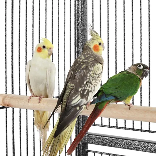 Vista 4 de Yaheetech Jaula de hierro forjado extra grande para periquitos con soporte desmontable para cacatúa, sol, mejilla, conure, agapornis, pinzón