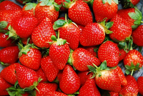 Vista 3 de Más de 200 semillas de fresa roja trepadora para plantar, semillas de frutas de jardín Everbearing fáciles de cultivar - Se envía desde Iowa, EE. UU