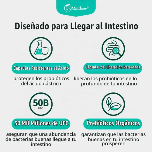 Vista 5 de Prebióticos y probióticos: Lactobacillus Gasseri, Lactobacillus Rhamnosus, Plantarum, Casei, Bifidobacterium longum, lactis, infantis. Prebióticos