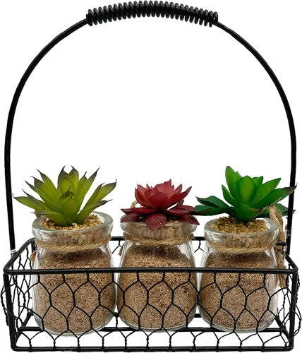 Vista 6 de Admired By Nature 3 piezas suculentas terracota estilo rústico con bandeja de madera para interiores primavera verano decoración de plantas Verde
