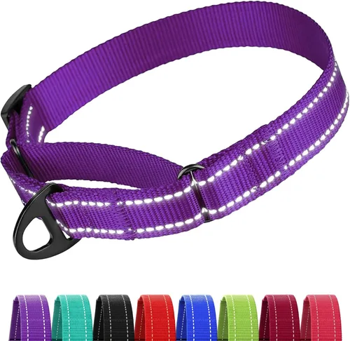 Vista 19 de CollarDirect Martingale - Collar de nailon resistente para perros pequeños, medianos y grandes [nailon, estampado, aguamarina, L, 15-20 pulgadas)