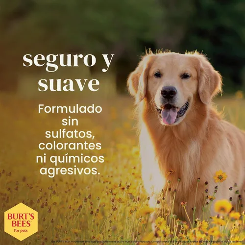 Vista 4 de Burt's Bees