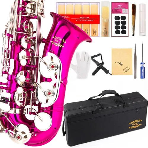 Vista 4 de Kit de cuidado para saxofón con 11 reeds, 8 para saxofón alto cojines, funda, Glory E Flat