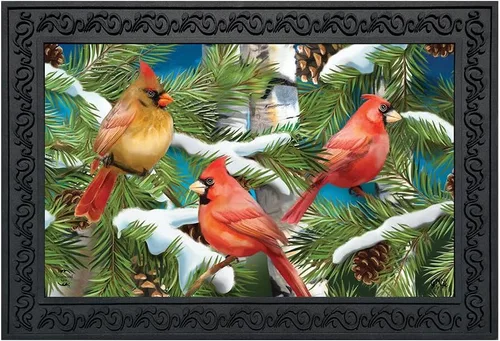 Vista 7 de Briarwood Lane - Felpudo de pájaros del invierno con cardenales