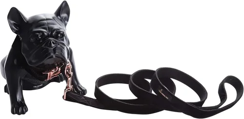 Vista 7 de ARING PET Collar y correa para perro, juego de collar y correa de terciopelo para perro, suave y cómodo, collares ajustables para perros