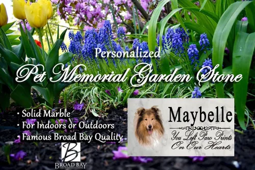 Vista 3 de Broad Bay Collie Dog Memorial Stone - Placa de lápida personalizada para exteriores