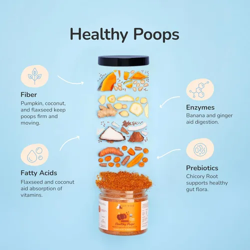 Vista 2 de kin+kind Probióticos + paquete de cadera y articulaciones para perros y gatos – Apoyo natural digestivo y articular con prebióticos, fibra y cúrcuma