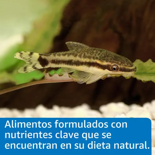 Vista 4 de API PELLETS BOTTOM FEEDER PELLETS WITH SQUID Fish Food Contenedor de 1.3 onzas