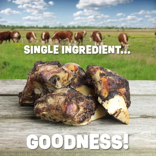 Vista 4 de Huesos de perro de un solo ingrediente, fabricados en Estados Unidos, huesos de fémur de carne de res, huesos naturales para masticadores agresivos