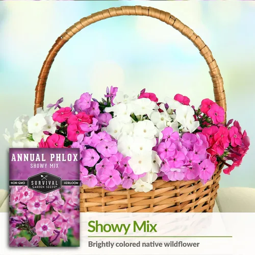 Vista 4 de Survival Garden Seeds - Showy Mix anual Phlox Seed para plantar - 3 paquetes con instrucciones para plantar y cultivar hermosas flores silvestres